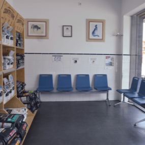 sala de espera perros clinica veterinaria faycan mallorca