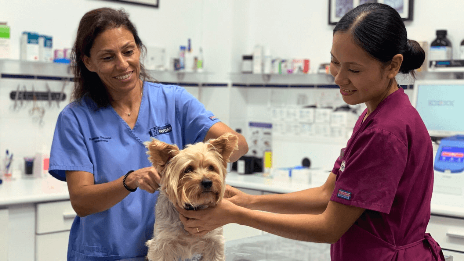 servicio vacunacion clínica veterinaria faycan mallorca